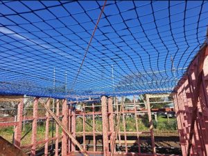 Aotea_Safety_Nets_4203 (Medium)
