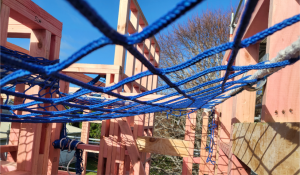 Asset 3 (Medium) (Small)