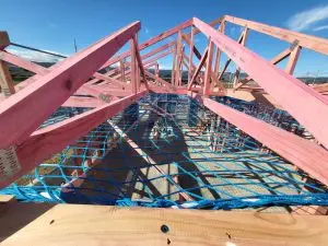 20230904_102045 (Large)