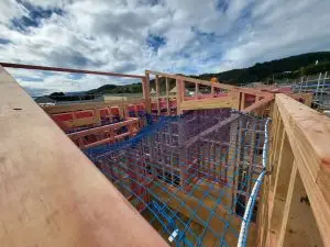 20230905_111604 (Large)