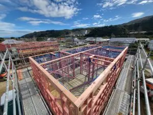 20230905_134344 (Large)